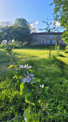 Vue du jardin