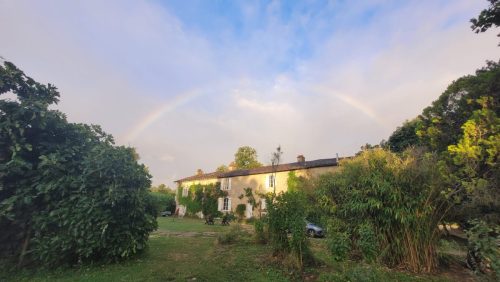 Vue du potager